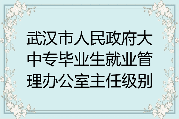 武汉市人民政府大中专毕业生就业管理办公室主任级别
