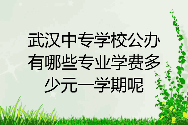武汉中专学校公办有哪些专业学费多少元一学期呢