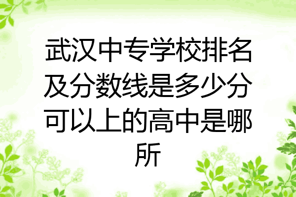 武汉中专学校排名及分数线是多少分可以上的高中是哪所