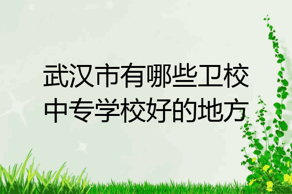 武汉市有哪些卫校中专学校好的地方
