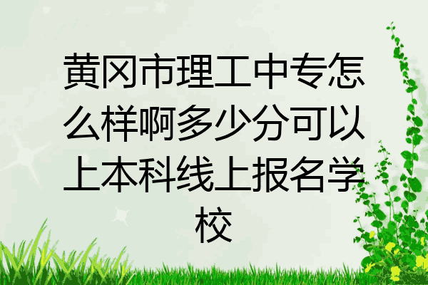 黄冈市理工中专怎么样啊多少分可以上本科线上报名学校