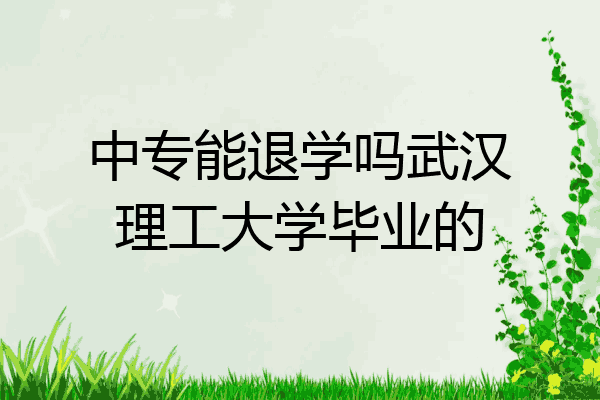 中专能退学吗武汉理工大学毕业的