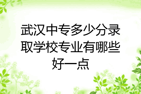 武汉中专多少分录取学校专业有哪些好一点