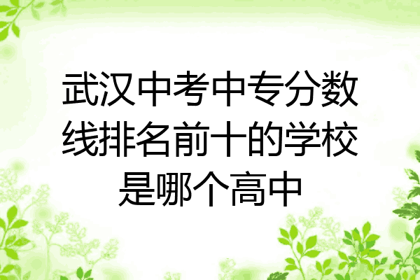 武汉中考中专分数线排名前十的学校是哪个高中