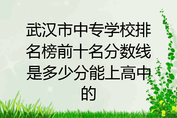 武汉市中专学校排名榜前十名分数线是多少分能上高中的