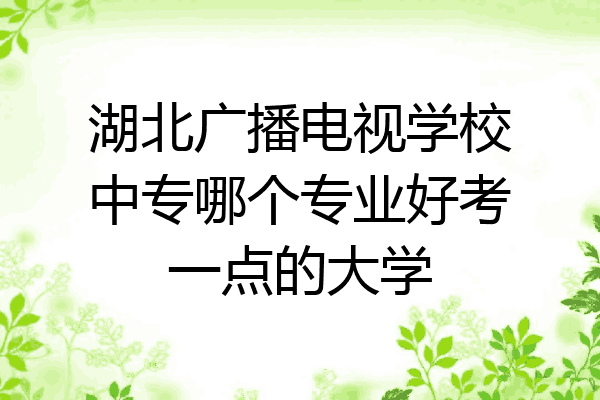 湖北广播电视学校中专哪个专业好考一点的大学