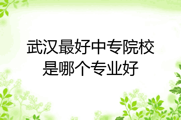 武汉最好中专院校是哪个专业好