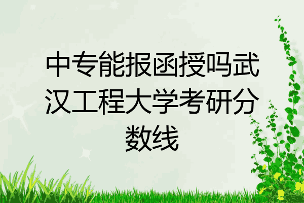 中专能报函授吗武汉工程大学考研分数线