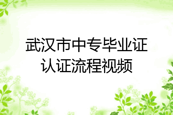 武汉市中专毕业证认证流程视频