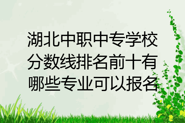 湖北中职中专学校分数线排名前十有哪些专业可以报名