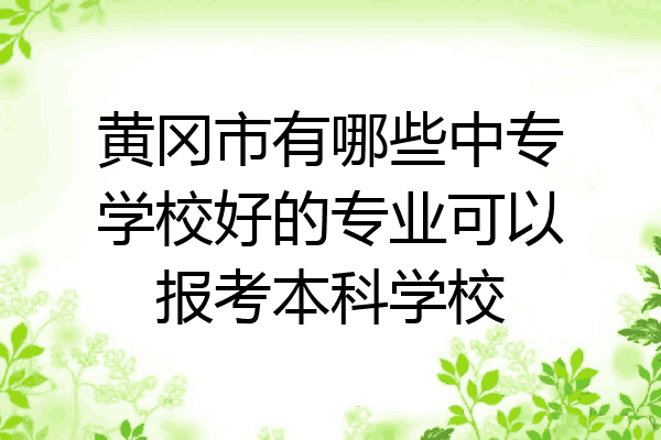 黄冈市有哪些中专学校好的专业可以报考本科学校