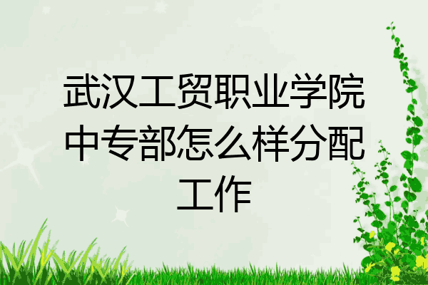武汉工贸职业学院中专部怎么样分配工作