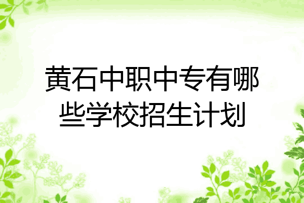 黄石中职中专有哪些学校招生计划