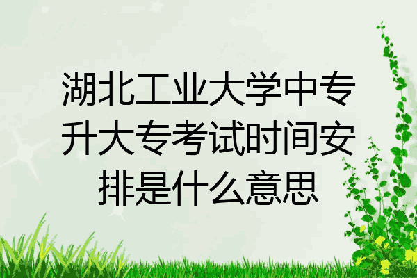 湖北工业大学中专升大专考试时间安排是什么意思