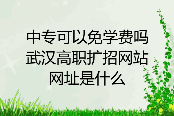 中专可以免学费吗武汉高职扩招网站网址是什么