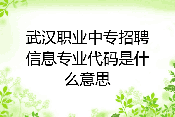 武汉职业中专招聘信息专业代码是什么意思