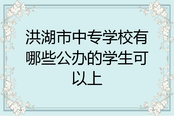 洪湖市中专学校有哪些公办的学生可以上