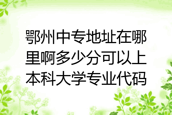 鄂州中专地址在哪里啊多少分可以上本科大学专业代码
