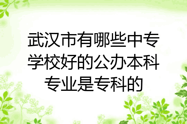 武汉市有哪些中专学校好的公办本科专业是专科的