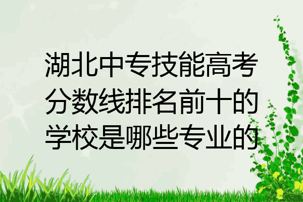 湖北中专技能高考分数线排名前十的学校是哪些专业的