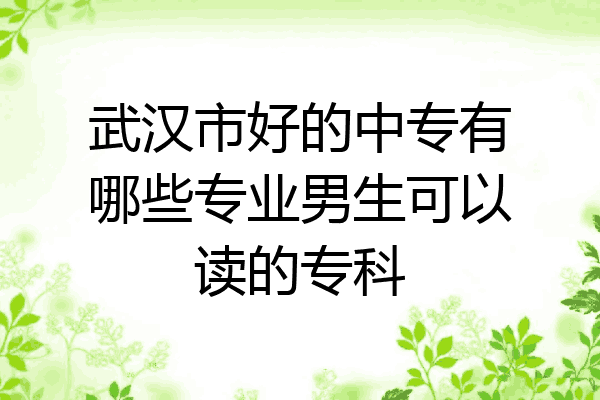 武汉市好的中专有哪些专业男生可以读的专科