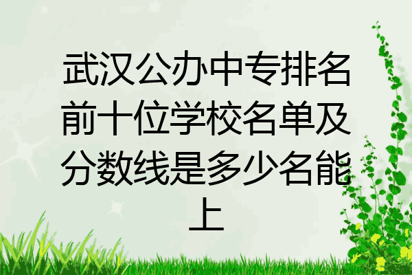 武汉公办中专排名前十位学校名单及分数线是多少名能上