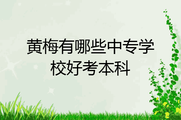黄梅有哪些中专学校好考本科