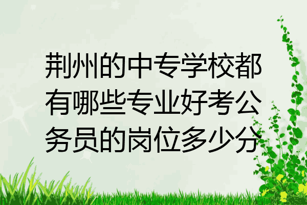 荆州的中专学校都有哪些专业好考公务员的岗位多少分