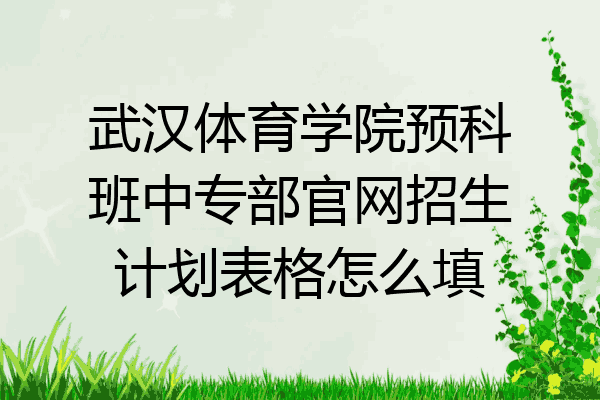 武汉体育学院预科班中专部官网招生计划表格怎么填