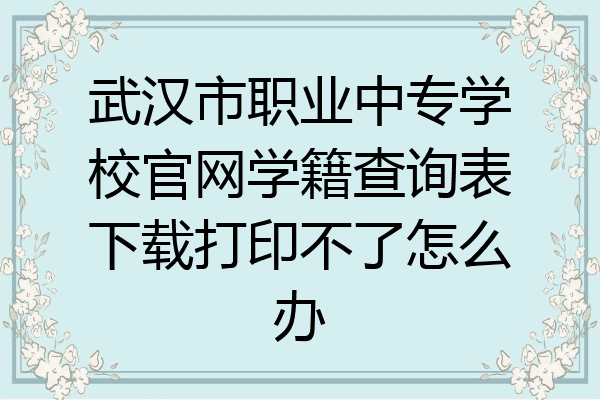 武汉市职业中专学校官网学籍查询表下载打印不了怎么办