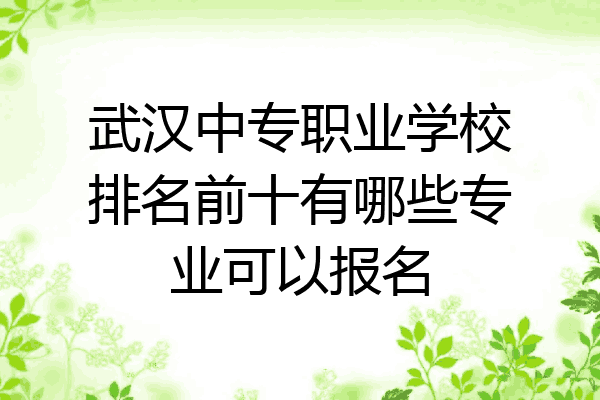 武汉中专职业学校排名前十有哪些专业可以报名