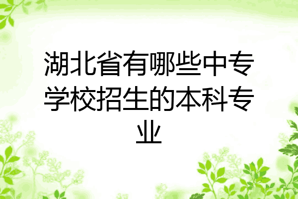湖北省有哪些中专学校招生的本科专业
