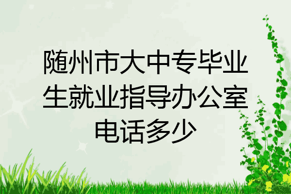 随州市大中专毕业生就业指导办公室电话多少