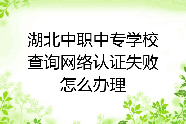 湖北中职中专学校查询网络认证失败怎么办理