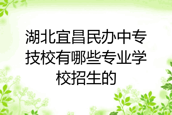 湖北宜昌民办中专技校有哪些专业学校招生的