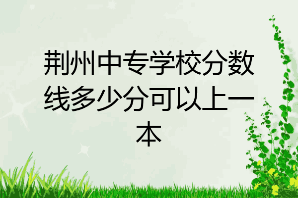 荆州中专学校分数线多少分可以上一本