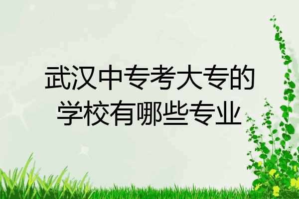 武汉中专考大专的学校有哪些专业