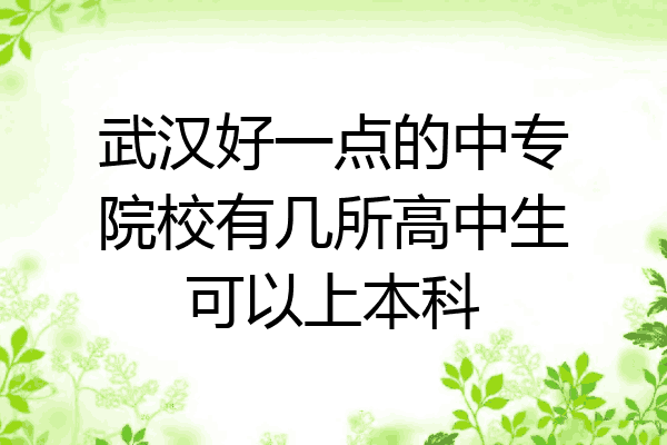 武汉好一点的中专院校有几所高中生可以上本科
