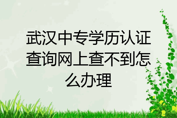 武汉中专学历认证查询网上查不到怎么办理