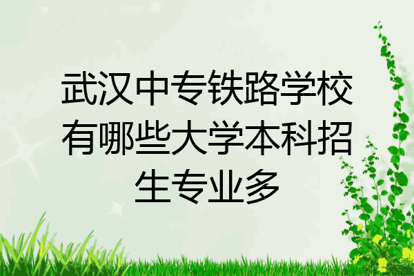武汉中专铁路学校有哪些大学本科招生专业多