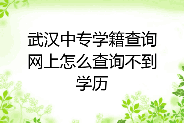 武汉中专学籍查询网上怎么查询不到学历