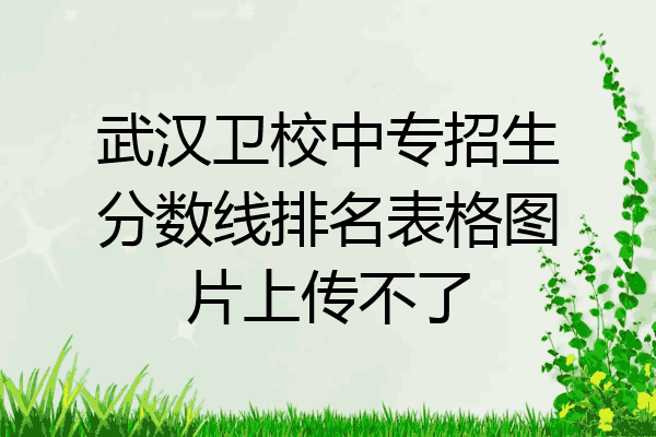 武汉卫校中专招生分数线排名表格图片上传不了