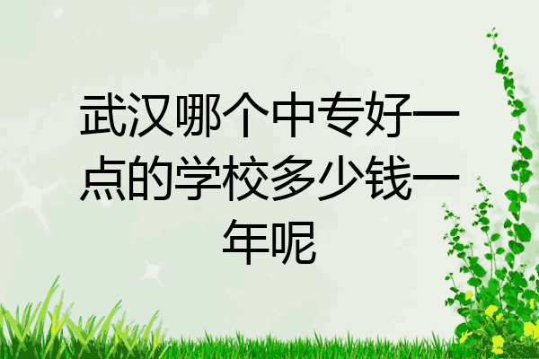 武汉哪个中专好一点的学校多少钱一年呢