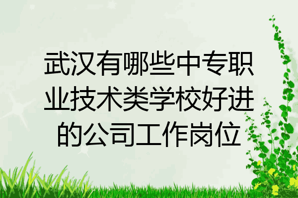武汉有哪些中专职业技术类学校好进的公司工作岗位