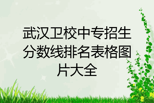 武汉卫校中专招生分数线排名表格图片大全