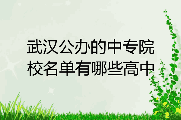 武汉公办的中专院校名单有哪些高中