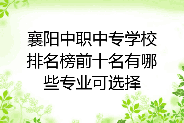 襄阳中职中专学校排名榜前十名有哪些专业可选择