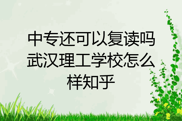 中专还可以复读吗武汉理工学校怎么样知乎
