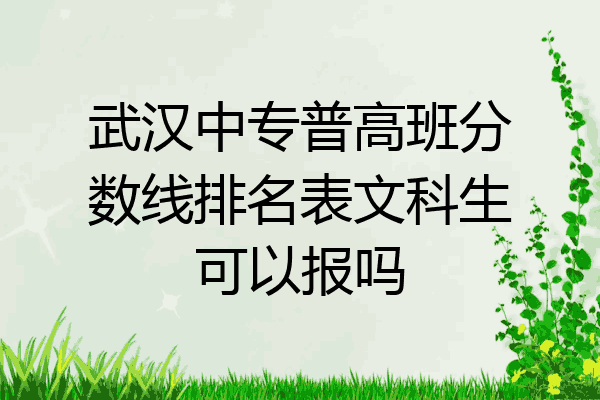 武汉中专普高班分数线排名表文科生可以报吗