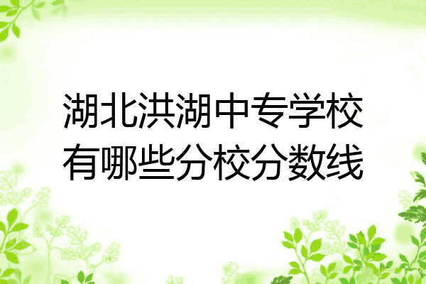湖北洪湖中专学校有哪些分校分数线